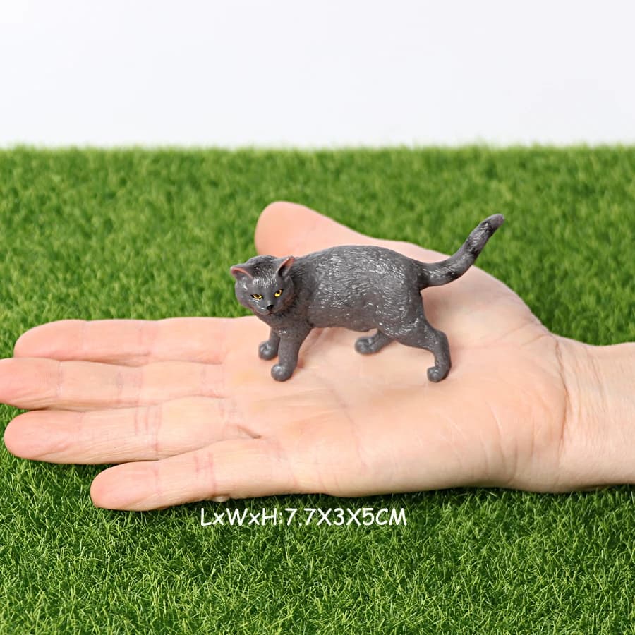 Cat 19