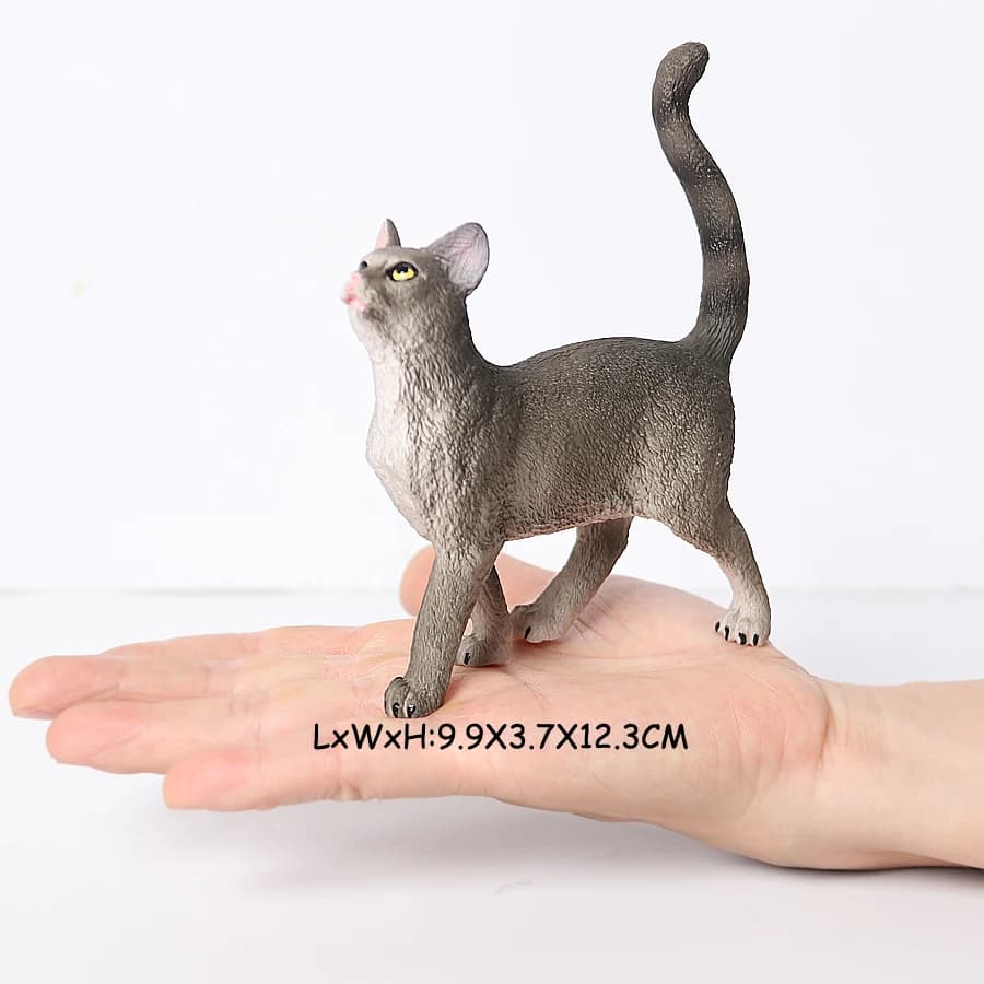 Cat 18