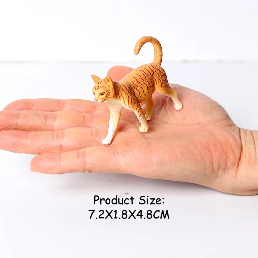 Cat 12