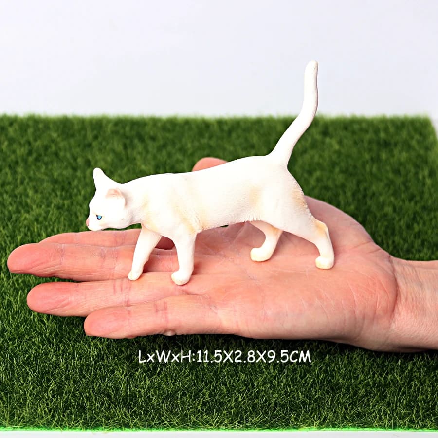 Cat 24