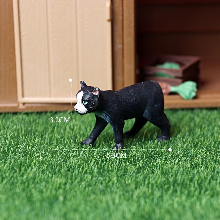 Cat 7