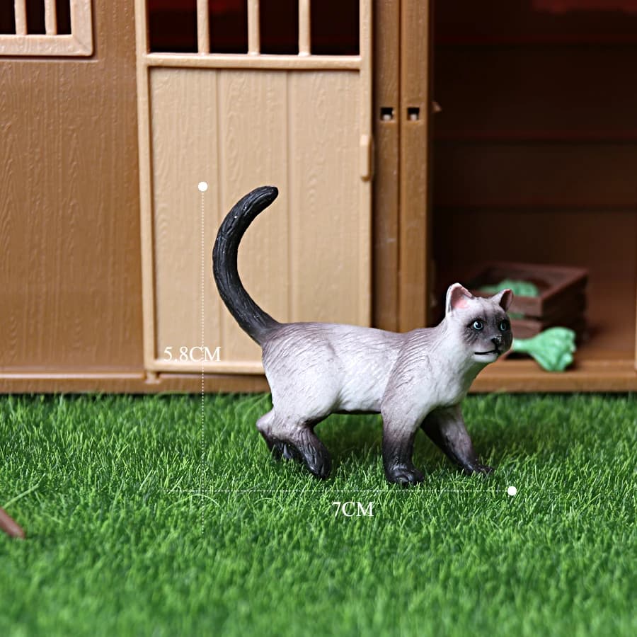 Cat 8