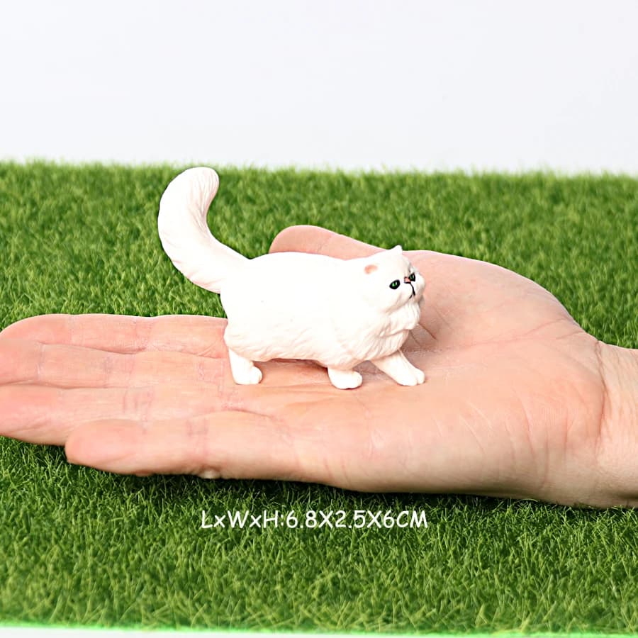 Cat 21