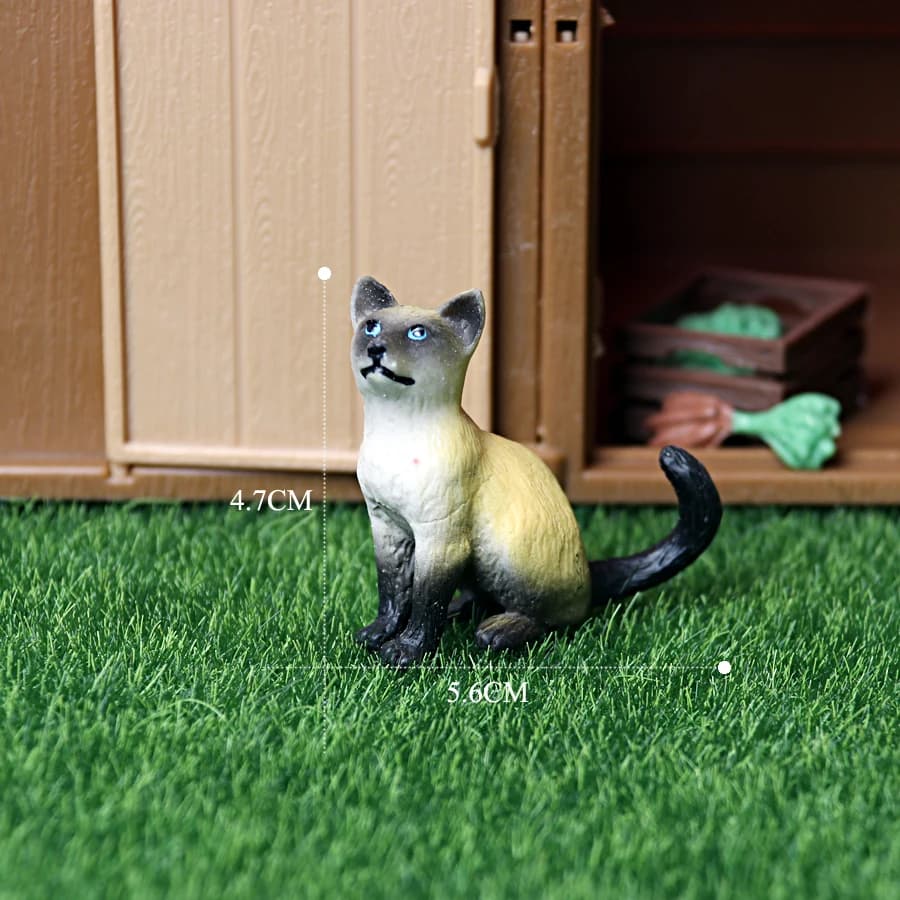 Cat 9