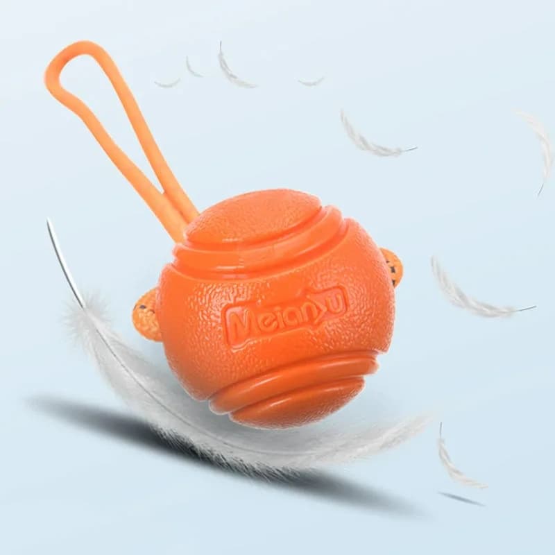 Dog Training Ball on Rope Cotton Rope Ball Nontoxic Durable Toy for Small Medium Dogs Interactive Pull Throw for Indoor Outdoor