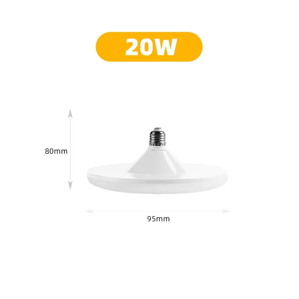 20W