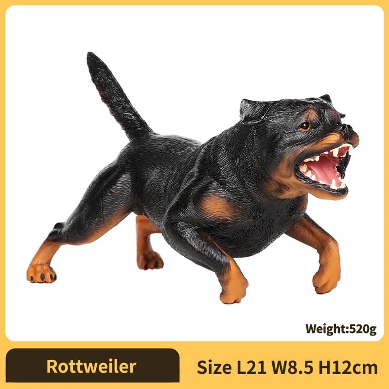 Rottweiler