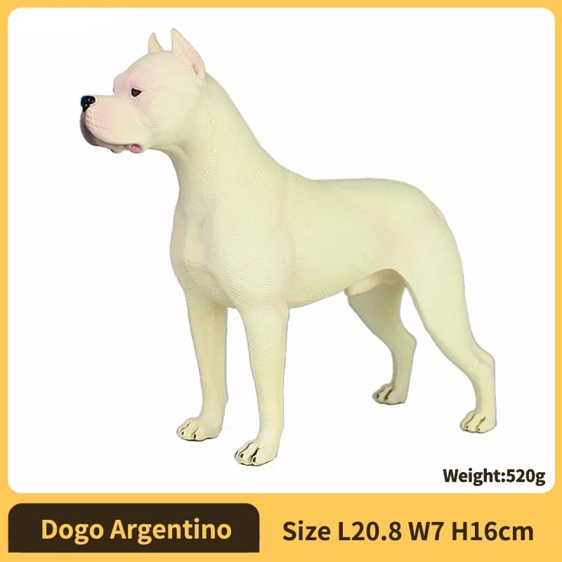Dogo Argentino