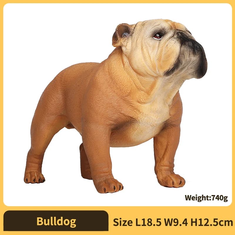 Bulldog