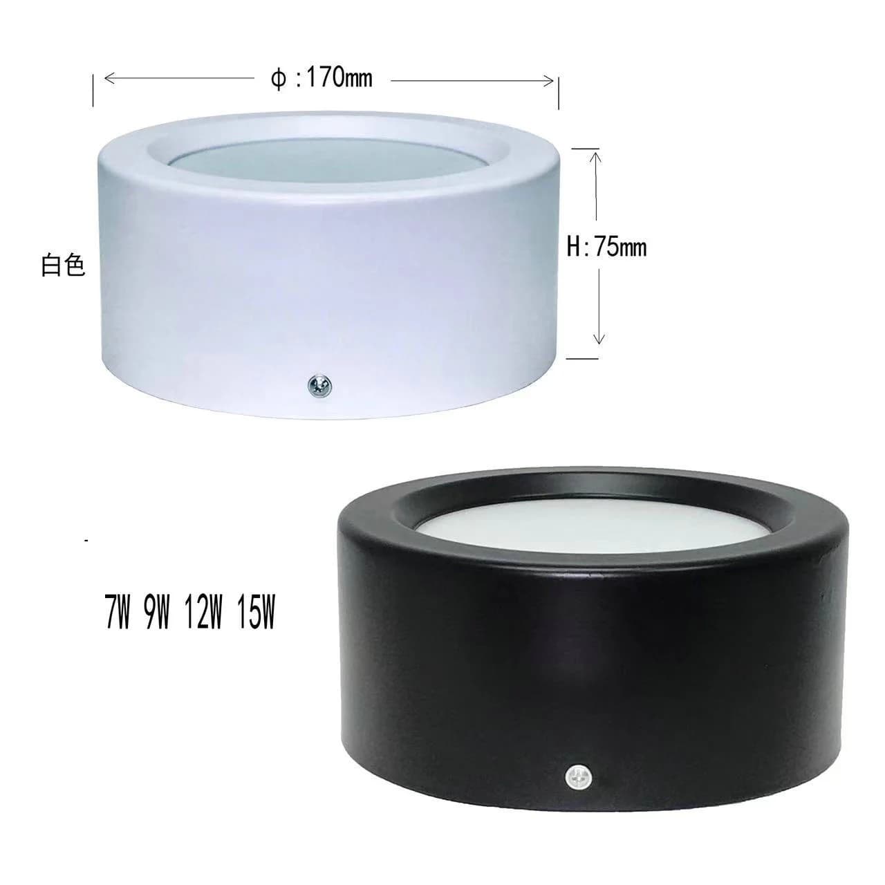 LED Emergency Light, Smart Lamp, Surface Mounted, Downlight, Lighting, Dual Surface, 5Inch, 12W