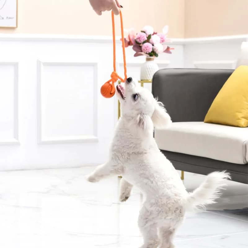 Dog Training Ball on Rope Cotton Rope Ball Nontoxic Durable Toy for Small Medium Dogs Interactive Pull Throw for Indoor Outdoor