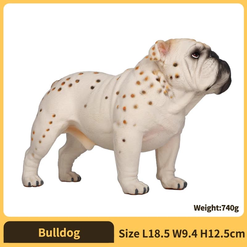 Bulldog
