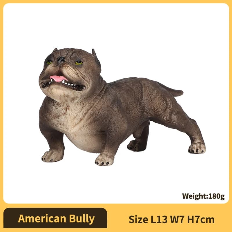 American Bully