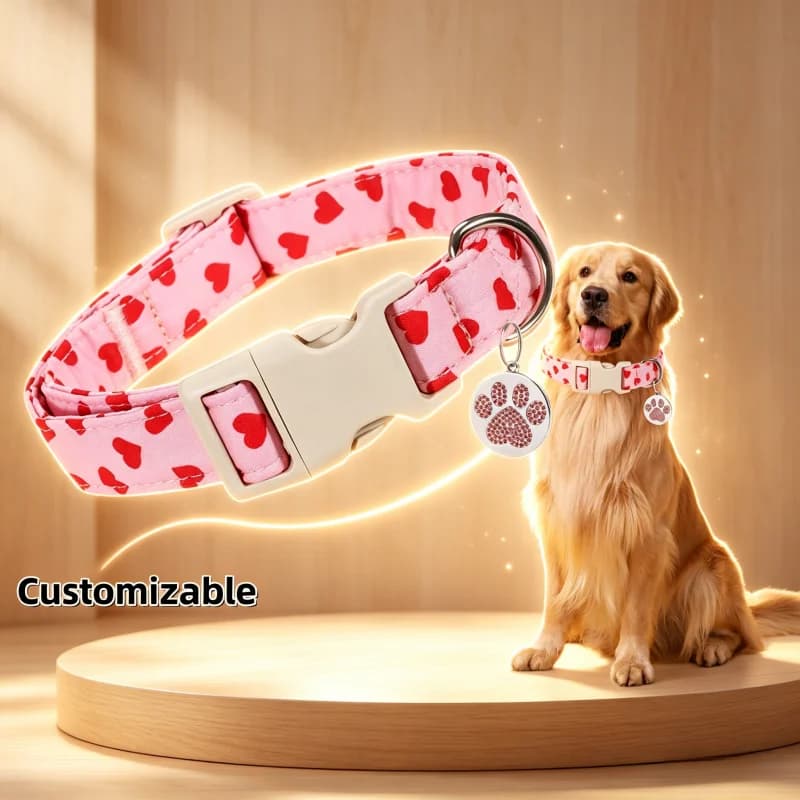 Dog Collar Can Be Hung with A Leash, Anti-lost, Explosion-proof, Adjustable, Comfortable Collar for Large, Medium and Small Dogs