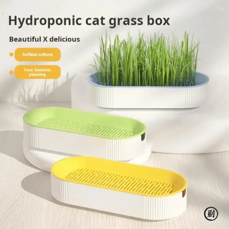 Hydroponic Cat Grass Box Cat Treats Catnip Hydroponic Soilless Planting Cat Grass Pot Set for Easy Growth