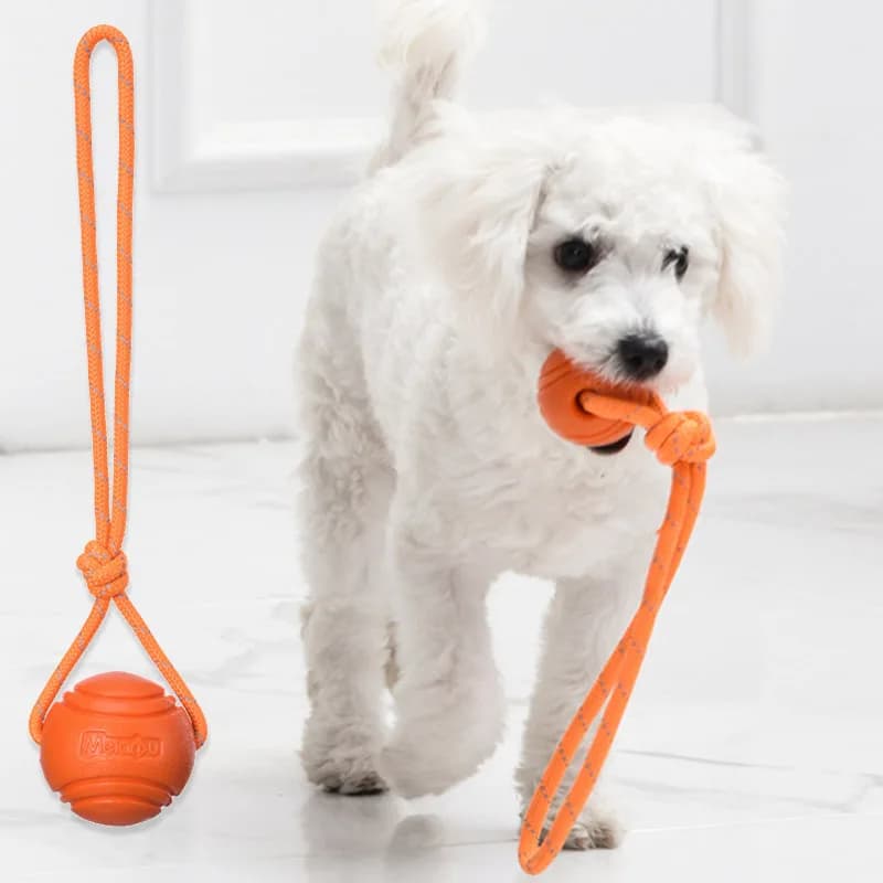 Dog Training Ball on Rope Cotton Rope Ball Nontoxic Durable Toy for Small Medium Dogs Interactive Pull Throw for Indoor Outdoor