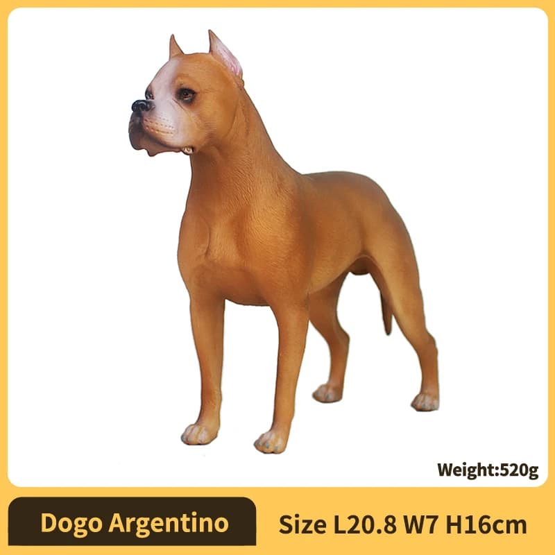 Dogo Argentino