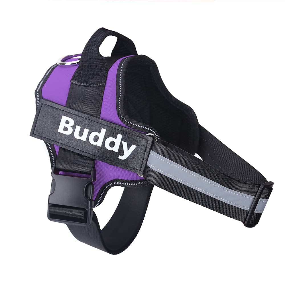 Purple / Baby1